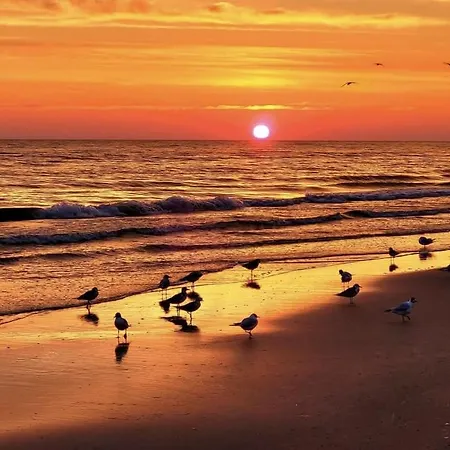 Shellter 117j Przy Morzu Atk アパート ロゴボ