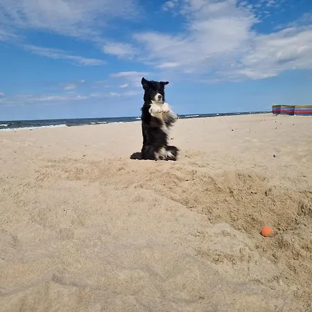 Apartment Rogowo Shellter 117J Apartamenty Atk - Przy Plazy