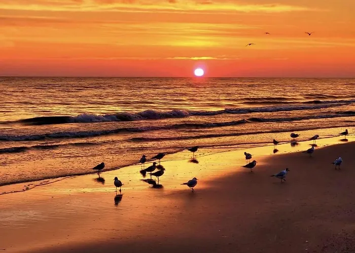 Shellter 117j Przy Morzu Atk Apartman Rogowo