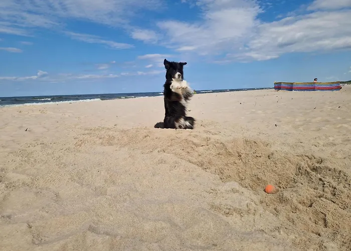 Apartmán Shellter 117j Przy Morzu Atk